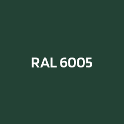 RAL 6005 Verde muschio