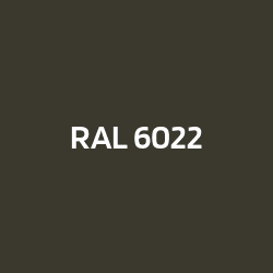 RAL 6022 Oliva brunastro