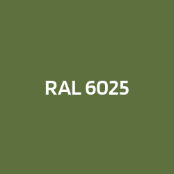 RAL 6025 Verde felce